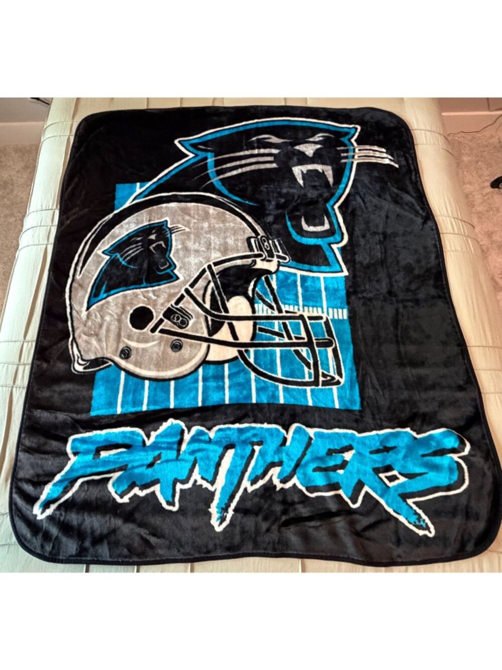 NFL Carolina Panthers Fleece Throw Blanket Large Logo Blue Black 51" x 60"